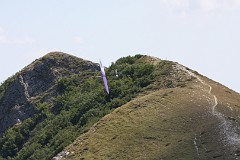 IMG_6485