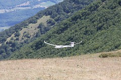 IMG_6550