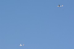 DSC_4767