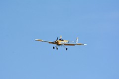 DSC_3743