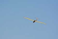 DSC_3961