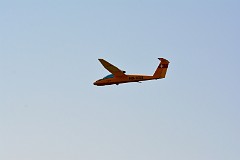 DSC_3987