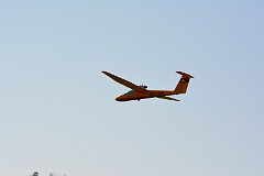 DSC_3988