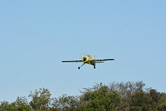 DSC_4517