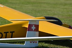 DSC_4550